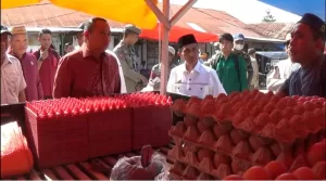 Bupati Gorontalo dampingi Penjabat Gubernur Pantau Stabilitas Harga Pangan