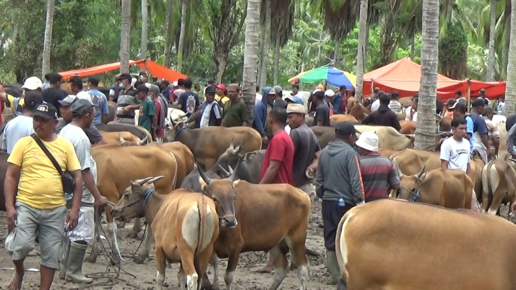 Pemerintah Desa Pulubala Jadi Sorotan, Relokasi Pasar Hewan Tanpa Rekomendasi Resmi