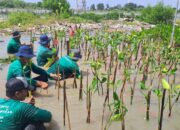 Lindungi Hutan: Platform Kolaborasi untuk Perusahaan Melakukan Penghijauan dan Mitigasi Perubahan Iklim