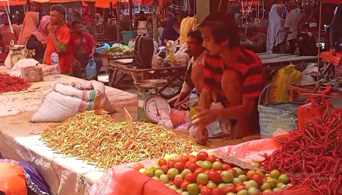 Cabai Rawit Alami Penurunan Harga