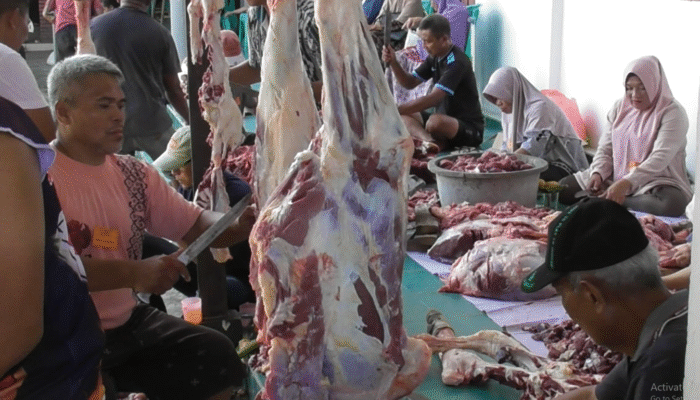 Panti Asuhan Dan Jamaah Masjid Marhamah Sembelih Hewan Kurban