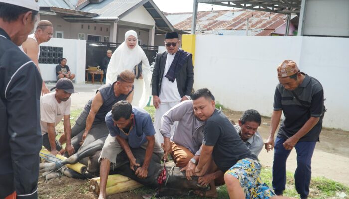 Momen Idul Adha, Ketua Dekot Irwan Hunawa Berkurban