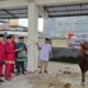 Bupati Gorontalo Serahkan Sapi Qurban Banpres untuk Masjid Agung Baiturahman Limboto