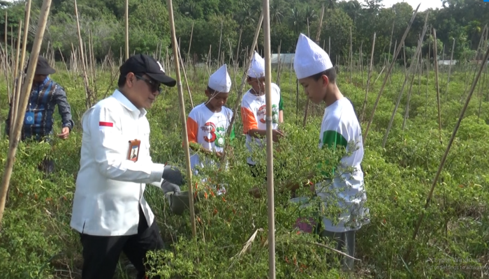 Pertanian Organik Jadi Sarana Belajar Santri