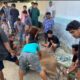 Masjid Al Adha XI Kelurahan Biawao Sembelih Hewan Kurban
