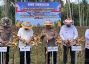 Panen Raya Serentak Kuartal II, Perkuat Produksi Jagung Nasional