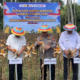 Panen Raya Serentak Kuartal II, Perkuat Produksi Jagung Nasional