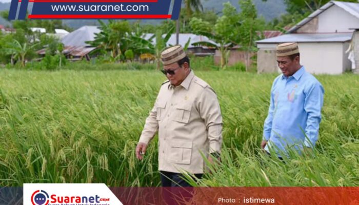 ‎Presiden Dorong Teknologi Pertanian Modern di Gorontalo