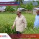 ‎Presiden Dorong Teknologi Pertanian Modern di Gorontalo