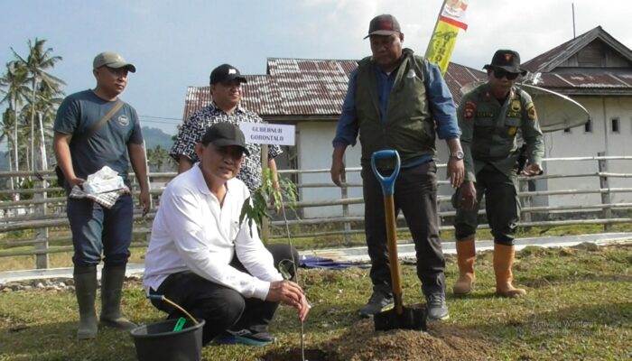 Pemprov Gorontalo Dorong Agroforestri di Pinogu