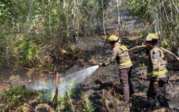 Tim Gabungan Berjibaku 7 Jam Jinakkan Karhutla Alale