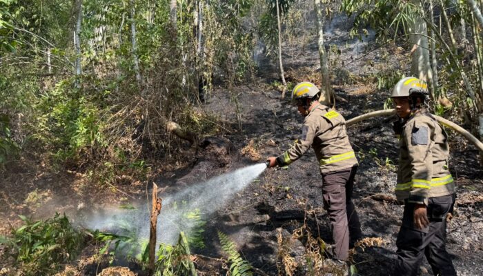 Tim Gabungan Berjibaku 7 Jam Jinakkan Karhutla Alale